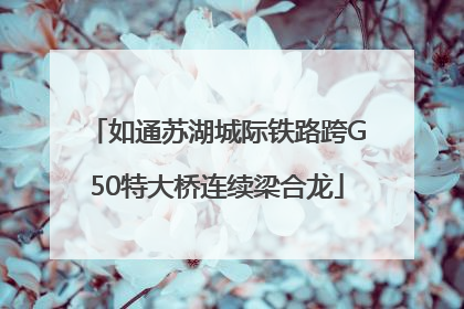 如通苏湖城际铁路跨G50特大桥连续梁合龙