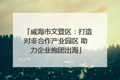 威海市文登区：打造对非合作产业园区 助力企业抱团出海