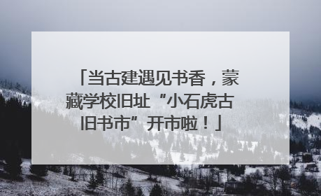 当古建遇见书香，蒙藏学校旧址“小石虎古旧书市”开市啦！