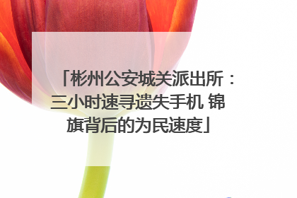 彬州公安城关派出所：三小时速寻遗失手机 锦旗背后的为民速度