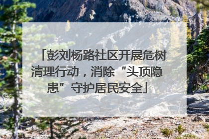 彭刘杨路社区开展危树清理行动，消除“头顶隐患”守护居民安全