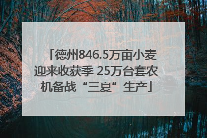 德州846.5万亩小麦迎来收获季 25万台套农机备战“三夏”生产