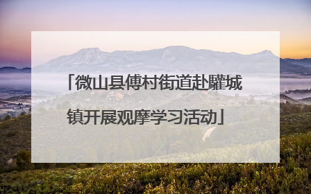 微山县傅村街道赴驩城镇开展观摩学习活动