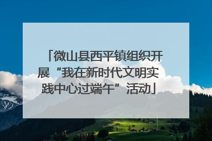 微山县西平镇组织开展“我在新时代文明实践中心过端午”活动