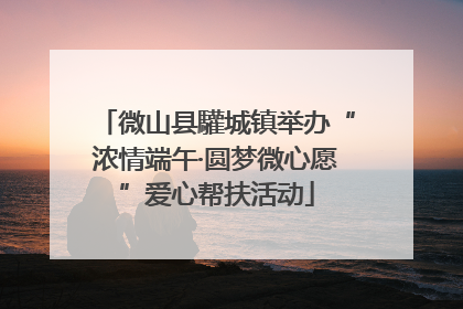 微山县驩城镇举办“浓情端午·圆梦微心愿”爱心帮扶活动