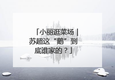 小丽逛菜场｜苏超这“鹅”到底谁家的？