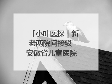 小叶医探｜新老两院间接驳 安徽省儿童医院开通免费班车