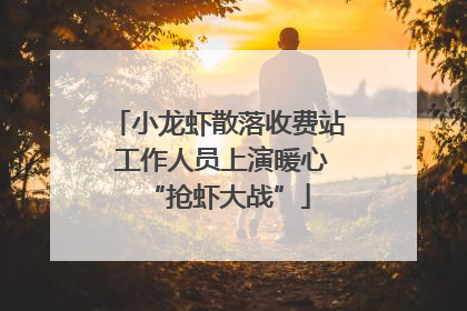 小龙虾散落收费站 工作人员上演暖心“抢虾大战”
