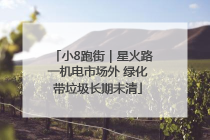 小8跑街｜星火路一机电市场外 绿化带垃圾长期未清