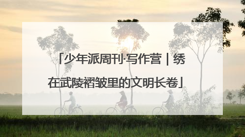 少年派周刊·写作营｜绣在武陵褶皱里的文明长卷