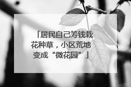 居民自己筹钱栽花种草，小区荒地变成“微花园”