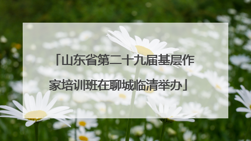 山东省第二十九届基层作家培训班在聊城临清举办