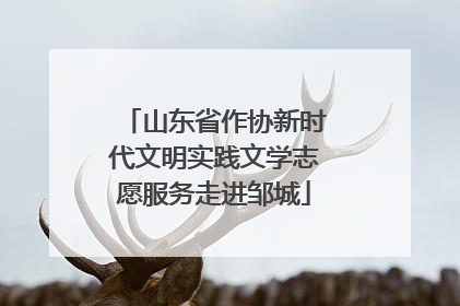 山东省作协新时代文明实践文学志愿服务走进邹城