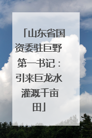 山东省国资委驻巨野第一书记：引来巨龙水 灌溉千亩田