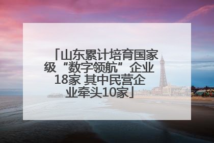 山东累计培育国家级“数字领航”企业18家 其中民营企业牵头10家