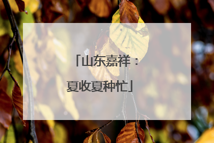 山东嘉祥：夏收夏种忙