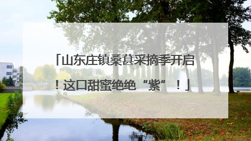 山东庄镇桑葚采摘季开启！这口甜蜜绝绝“紫”！