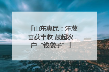 山东惠民：洋葱喜获丰收 鼓起农户“钱袋子”