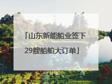 山东新能船业签下29艘船舶大订单