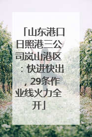 山东港口日照港三公司岚山港区：快进快出，29条作业线火力全开