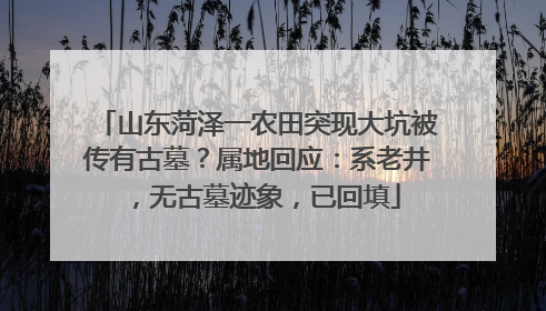 山东菏泽一农田突现大坑被传有古墓？属地回应：系老井，无古墓迹象，已回填