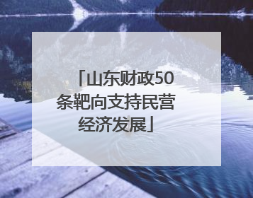 山东财政50条靶向支持民营经济发展