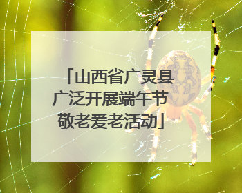 山西省广灵县广泛开展端午节敬老爱老活动
