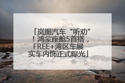 岚图汽车“听劝”！鸿蒙座舱5首搭，FREE+湾区车展实车内饰正式曝光