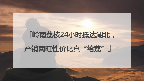 岭南荔枝24小时抵达湖北，产销两旺性价比真“给荔”