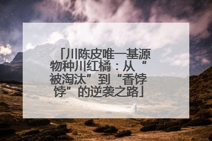 川陈皮唯一基源物种川红橘：从“被淘汰”到“香饽饽”的逆袭之路