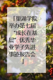 巢湖学院举办第七届“成长在基层”优秀毕业学子先进事迹报告会