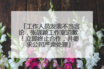 工作人员发表不当言论，张靓颖工作室道歉！立即终止合作，并要求公司严肃处理