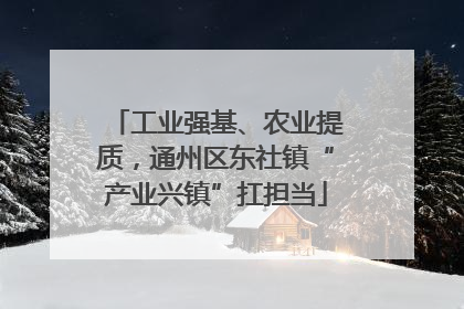 工业强基、农业提质，通州区东社镇“产业兴镇”扛担当