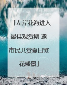 左岸花海进入最佳观赏期 邀市民共赏夏日繁花盛景