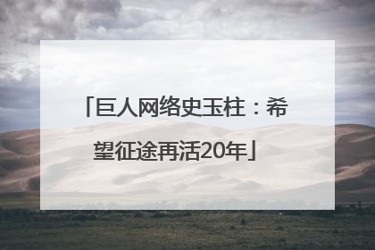 巨人网络史玉柱：希望征途再活20年