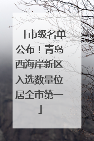 市级名单公布！青岛西海岸新区入选数量位居全市第一