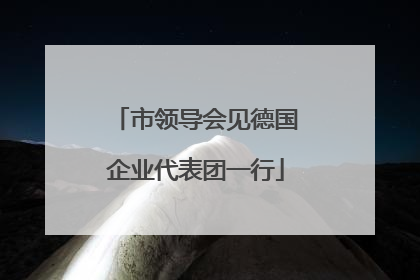 市领导会见德国企业代表团一行
