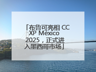 布鲁可亮相 CCXP México 2025，正式进入墨西哥市场