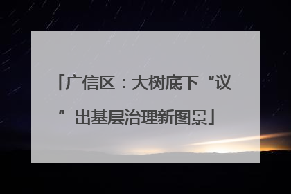 广信区：大树底下“议”出基层治理新图景