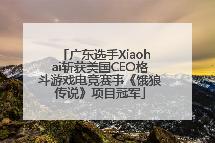 广东选手Xiaohai斩获美国CEO格斗游戏电竞赛事《饿狼传说》项目冠军