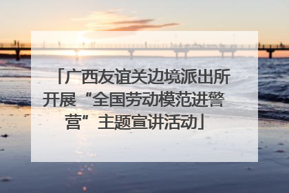 广西友谊关边境派出所开展“全国劳动模范进警营”主题宣讲活动
