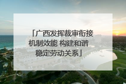 广西发挥裁审衔接机制效能 构建和谐稳定劳动关系