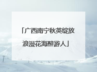 广西南宁秋英绽放 浪漫花海醉游人