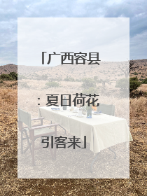 广西容县：夏日荷花引客来