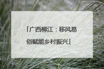 广西柳江：移风易俗赋能乡村振兴