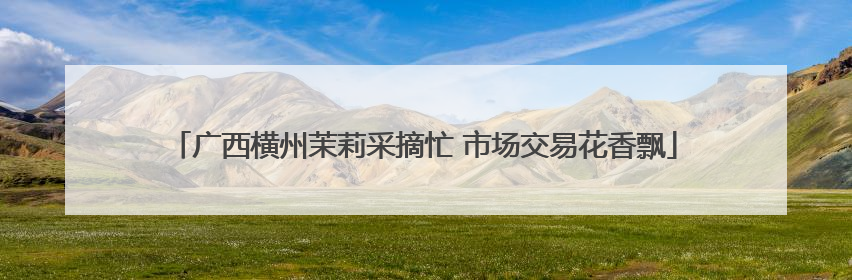 广西横州茉莉采摘忙 市场交易花香飘