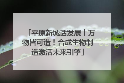平原新城话发展丨万物皆可造！合成生物制造激活未来引擎