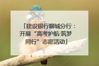 建设银行聊城分行：开展“高考护航·筑梦同行”志愿活动