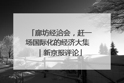 廊坊经洽会，赶一场国际化的经济大集｜新京报评论