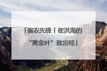 强农先锋丨崔洪海的“黄金叶”致富经